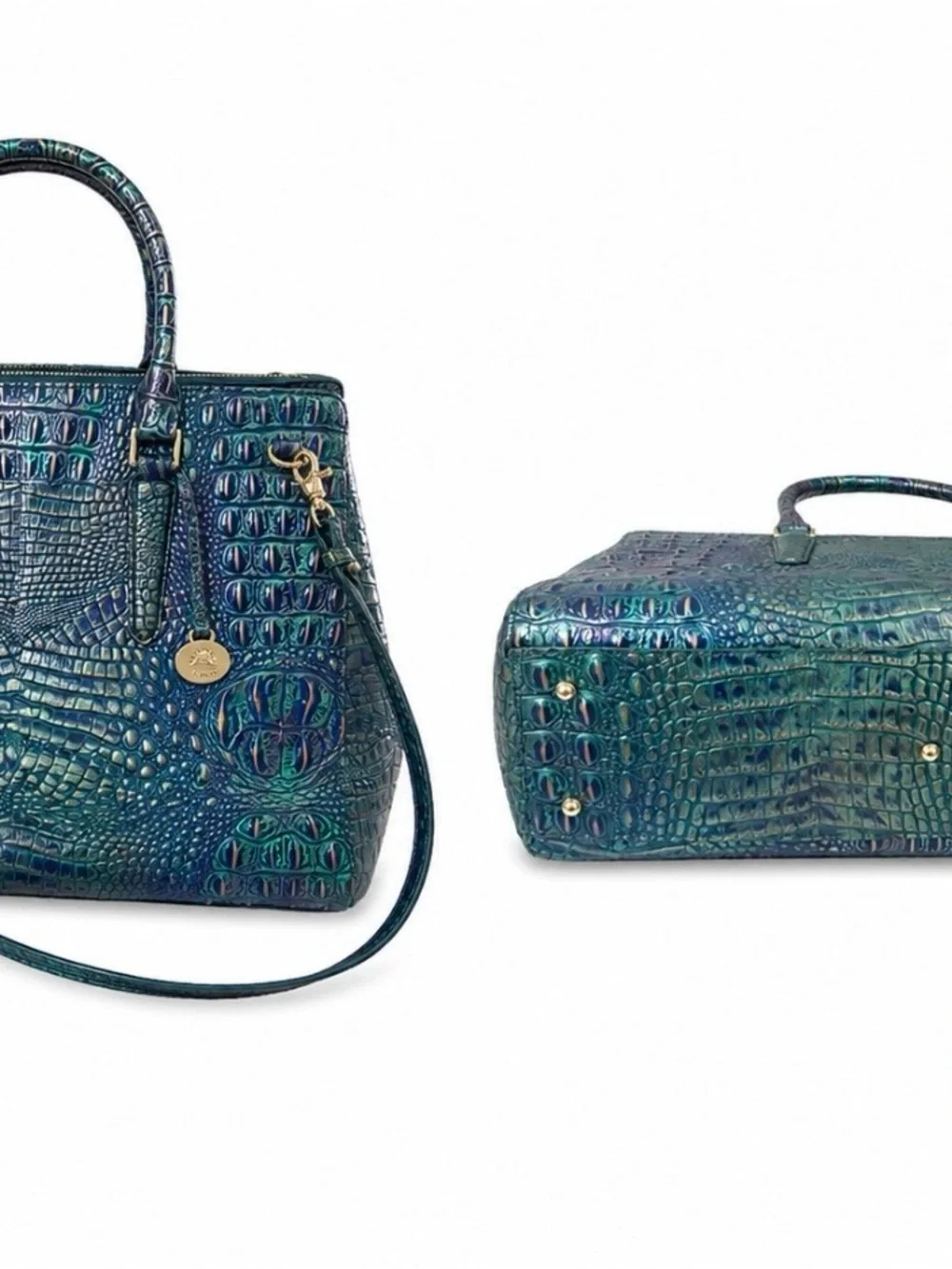 Brahmin this bag